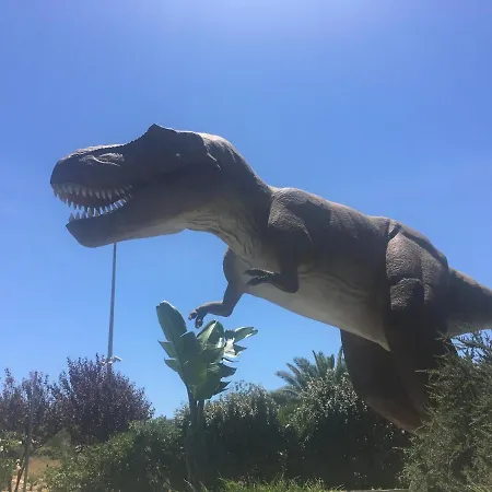 Appartement Club Amarilis,alex&mila Da Rocha 3*