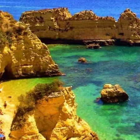 Club Amarilis,alex&mila Da Rocha 3*