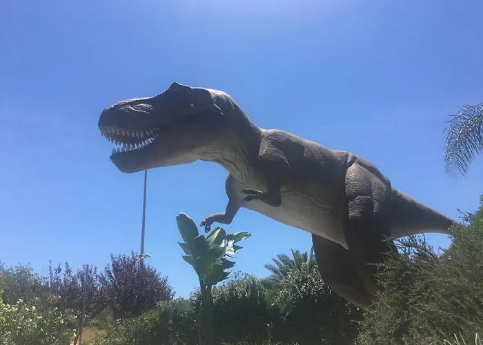 Apartment Club Amarilis,alex&mila Da Rocha 3*